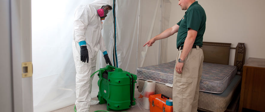 Baton Rouge, LA mold removal process